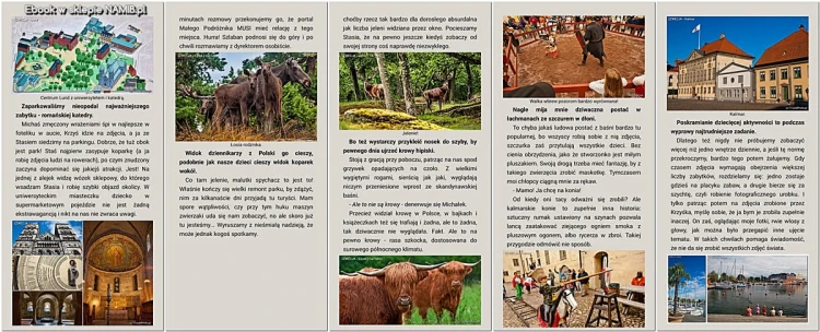 ebook-SZWECJA-set5.jpg