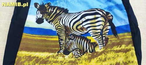 IMG_20230526_121053.jpg