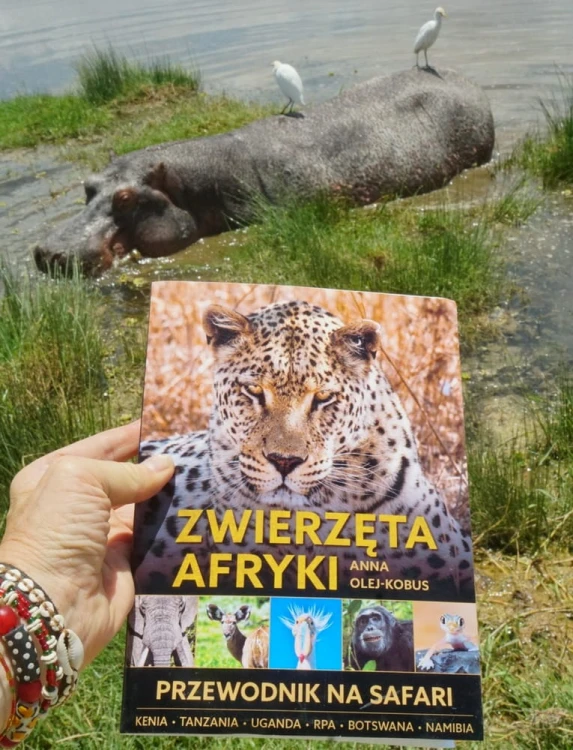 zwierzeta-afr2-1000px.jpg