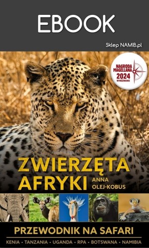 zw-afr-okl-ebook_M.jpg