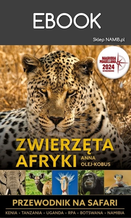 zw-afr-okl-ebook_M.jpg