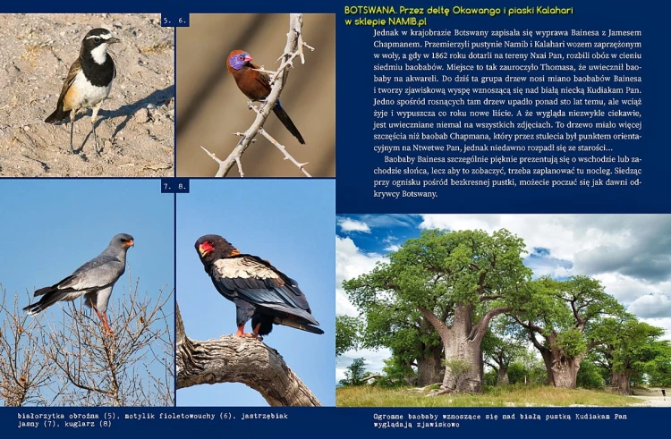 BOTSWANA_book-116.jpg