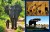 BOTSWANA_book-434.jpg