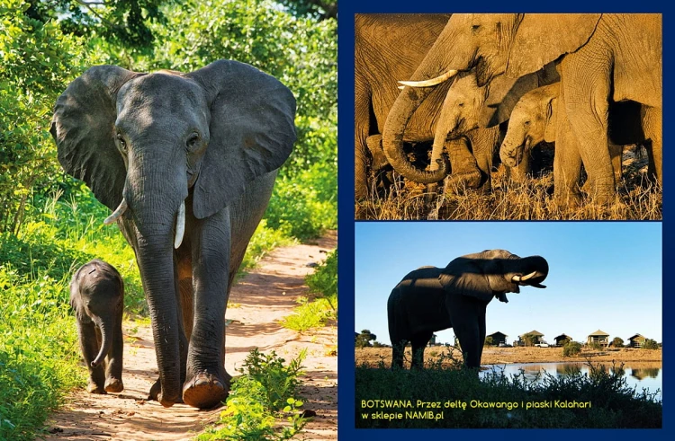 BOTSWANA_book-434.jpg