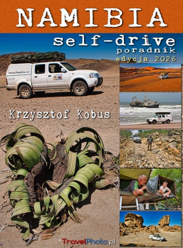 NAM_self-drive_okladka26-1024px.jpg