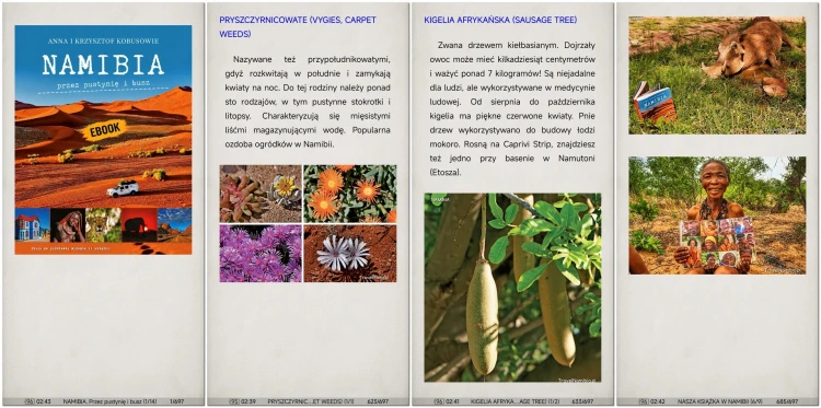 NAM-ebook-set6.jpg