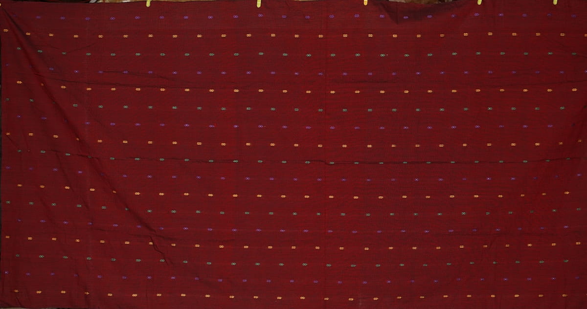 TP_08782.JPG